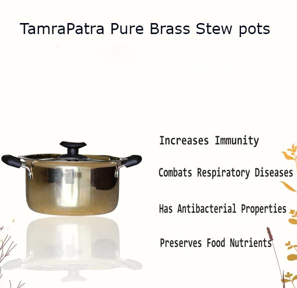 pure Brass Stew Pan with lid43 Pure Brass Stew Pan with lid/stew pot/patila/bhagona with tin coating/kalayi